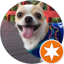 Lim Jia Y. profile picture